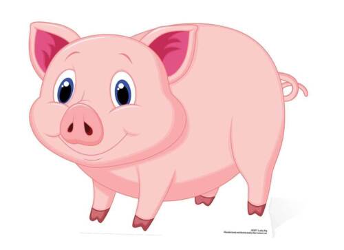 <strong>LA <em>“DIDATTICA ABILITANTE”</em> PER LA SCUOLA DEL FUTURO</strong>